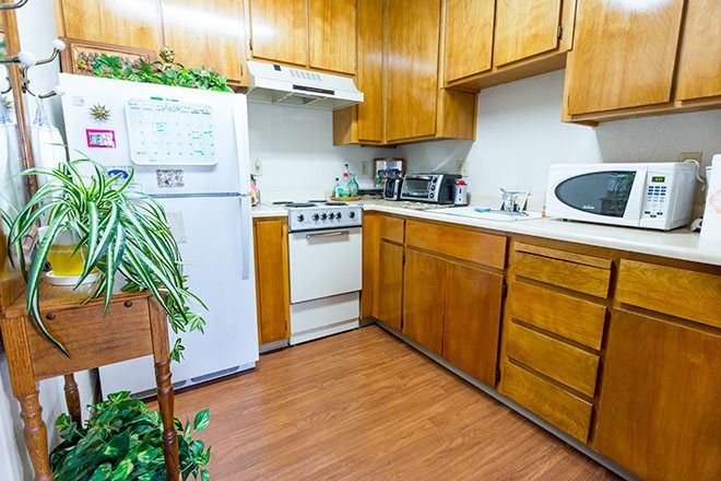 A kitchen featuring wooden cabinets, a refrigerator, stove, microwave, and indoor plants.