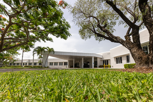 A modern building surrounded by lush greenery and trees.