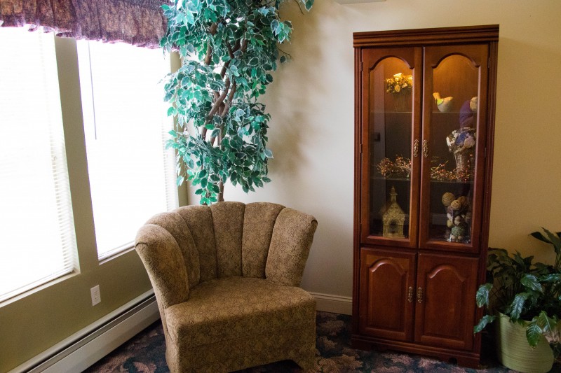 A cozy corner with a comfortable chair, a wooden display cabinet, and an indoor plant by the window.