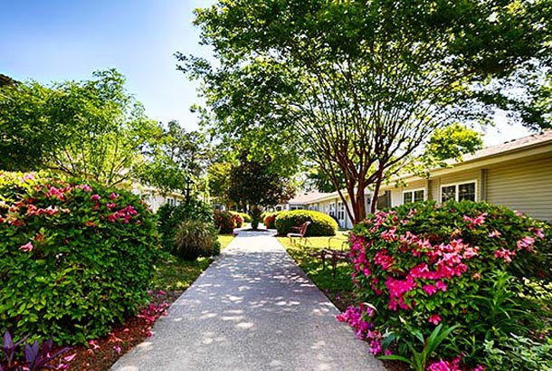 A serene garden pathway lined with vibrant flowers and lush trees.