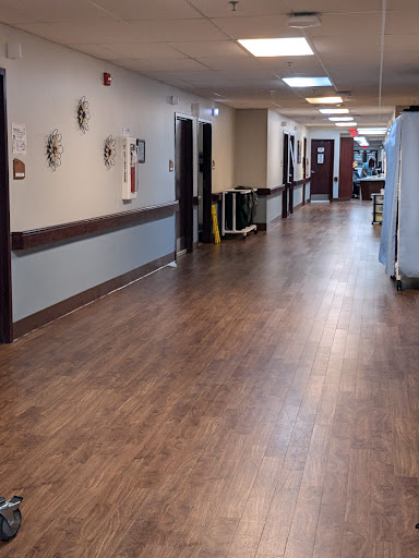 A view of a clean and well-lit hallway in a facility, featuring wooden flooring and various decorative elements on the walls.