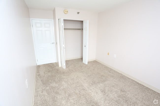 An empty room with white walls and a carpeted floor featuring an open closet.