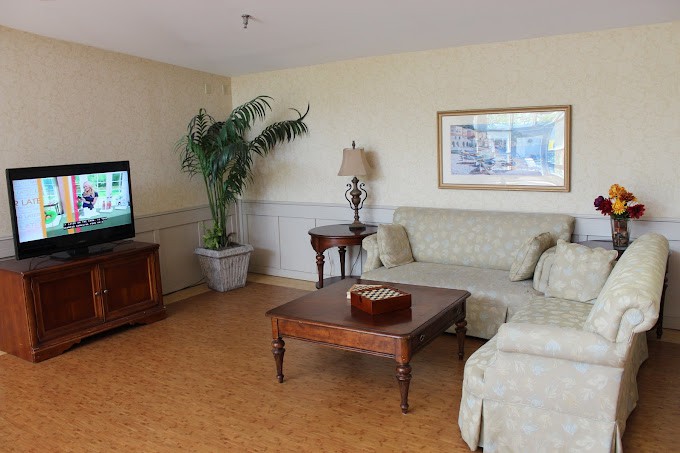 A cozy living room featuring a comfortable sofa, coffee table, TV, and decorative elements like a potted plant and artwork on the wall.
