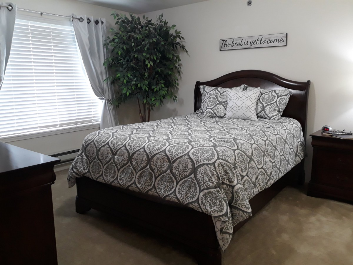 A well-decorated bedroom with a patterned comforter and large indoor plant.