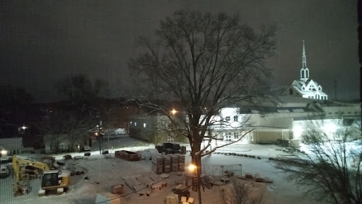 A peaceful winter night scene with snow covering the ground and a large tree illuminated by streetlights.