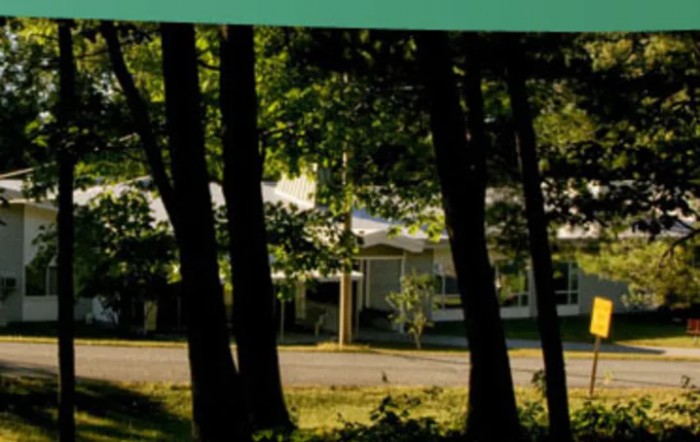 Vernon Green Nursing Home