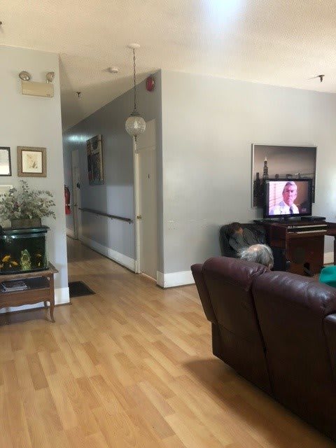 A cozy living room with a leather couch, television, and indoor plant.