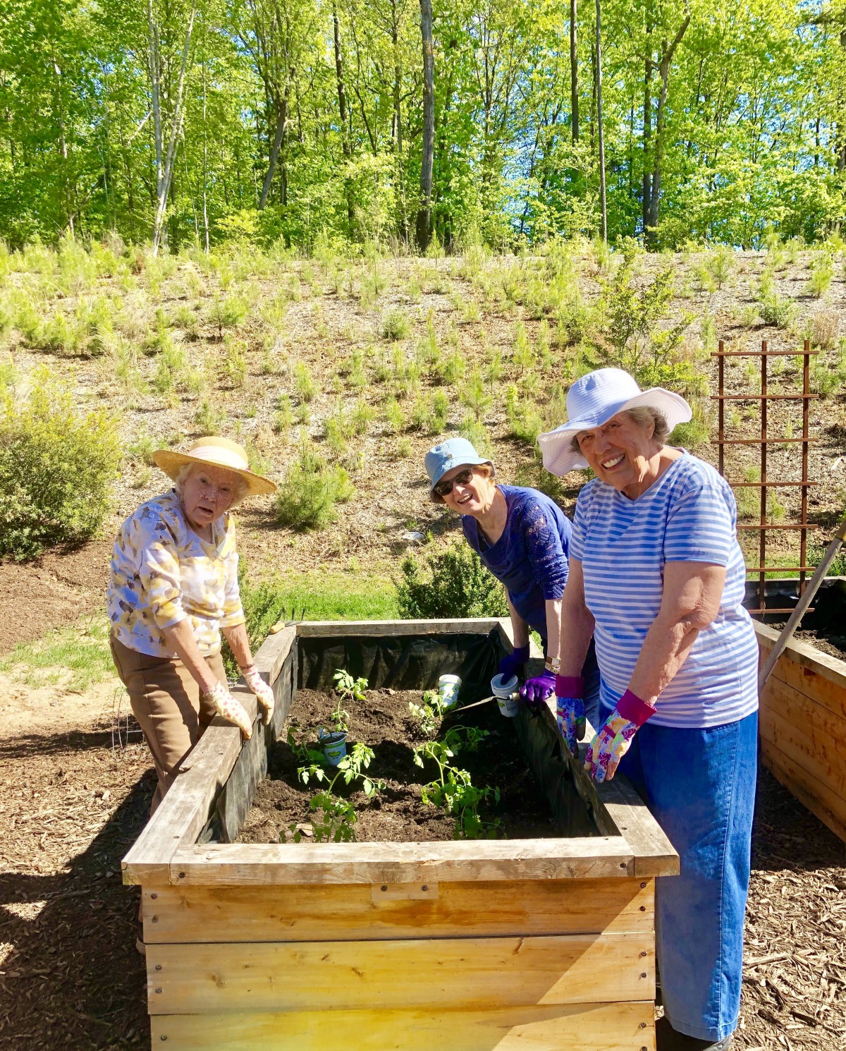 Three people gardening in raised beds on a sunny day.