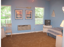 A living room with blue walls, featuring a TV, chair, artwork on the walls, and carpeted floor.