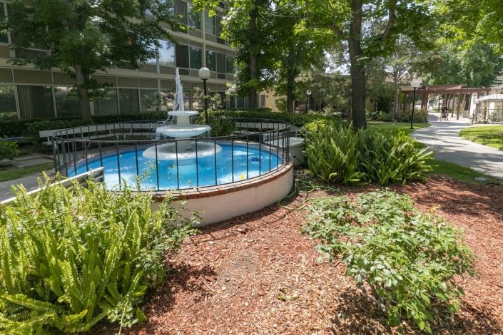 A serene garden with a central fountain surrounded by lush greenery.