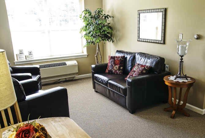 A cozy living room with a leather sofa, armchair, and decorative elements like an indoor plant and mirror.