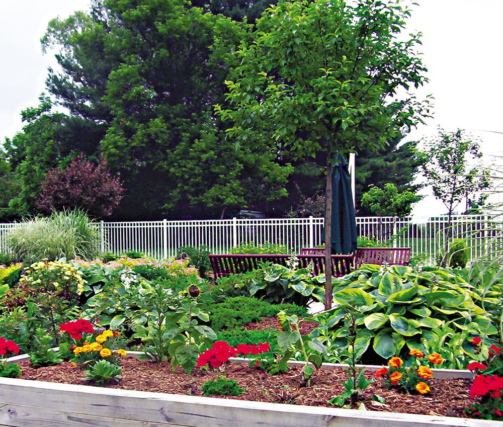 A vibrant garden with colorful flowers, greenery, and a bench under an umbrella.