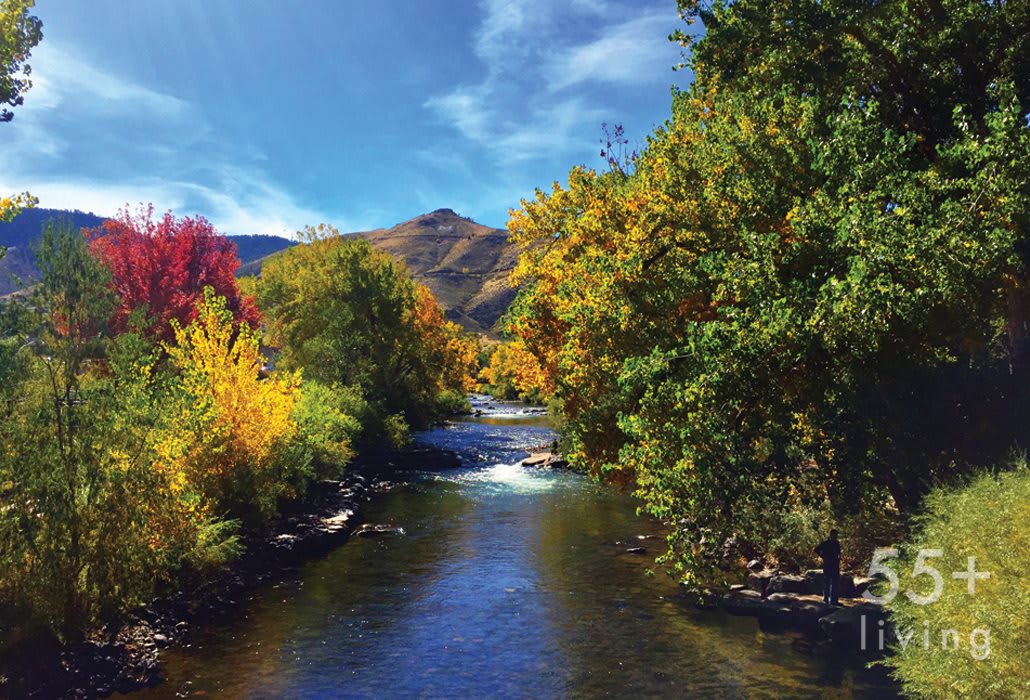 A picturesque view of a river flowing through vibrant autumn foliage with mountains in the background.
