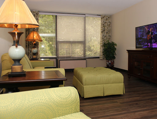 A cozy living room featuring a green sofa, wooden furniture, and ample natural light.