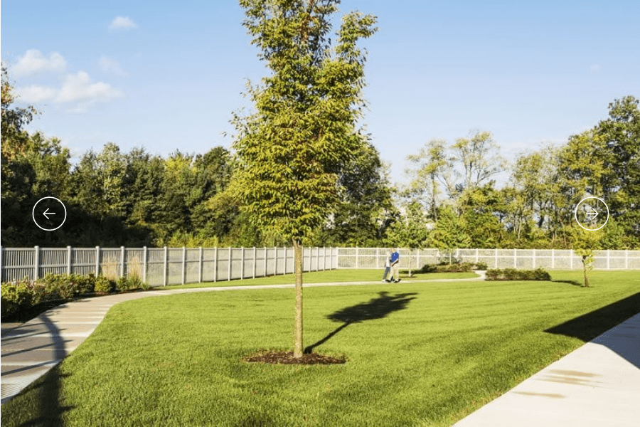 Lakewood Transitional Assisted Living and Memory Care