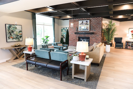 A cozy and modern living room featuring a mix of comfortable seating, natural elements, and stylish decor.