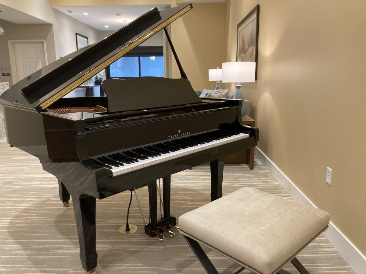 A grand piano with a cushioned bench in an elegantly designed living room.