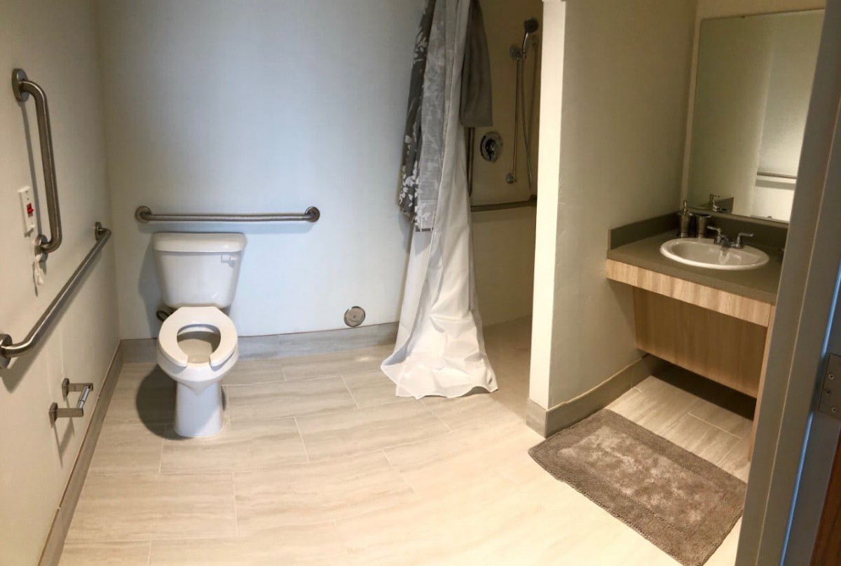 A bathroom with an accessible shower, toilet, and sink area.