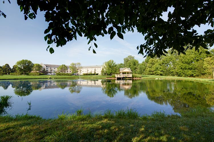 A serene landscape featuring a calm lake reflecting surrounding trees and buildings.