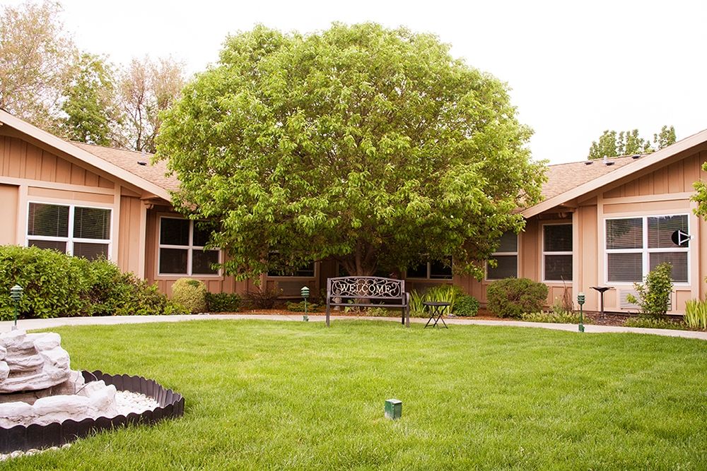 A peaceful garden setting featuring a large tree, a bench, and surrounding buildings.