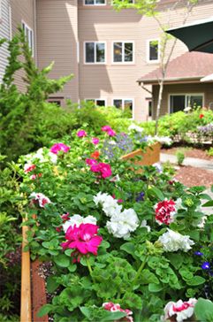 Stafford Suites Port Orchard
