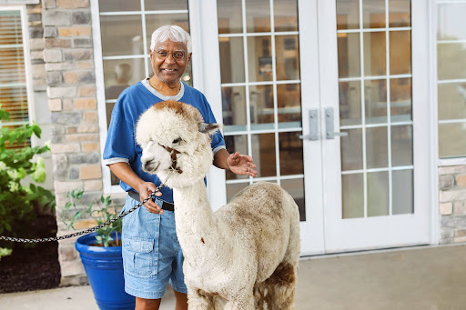 A person happily poses with an alpaca outdoors.