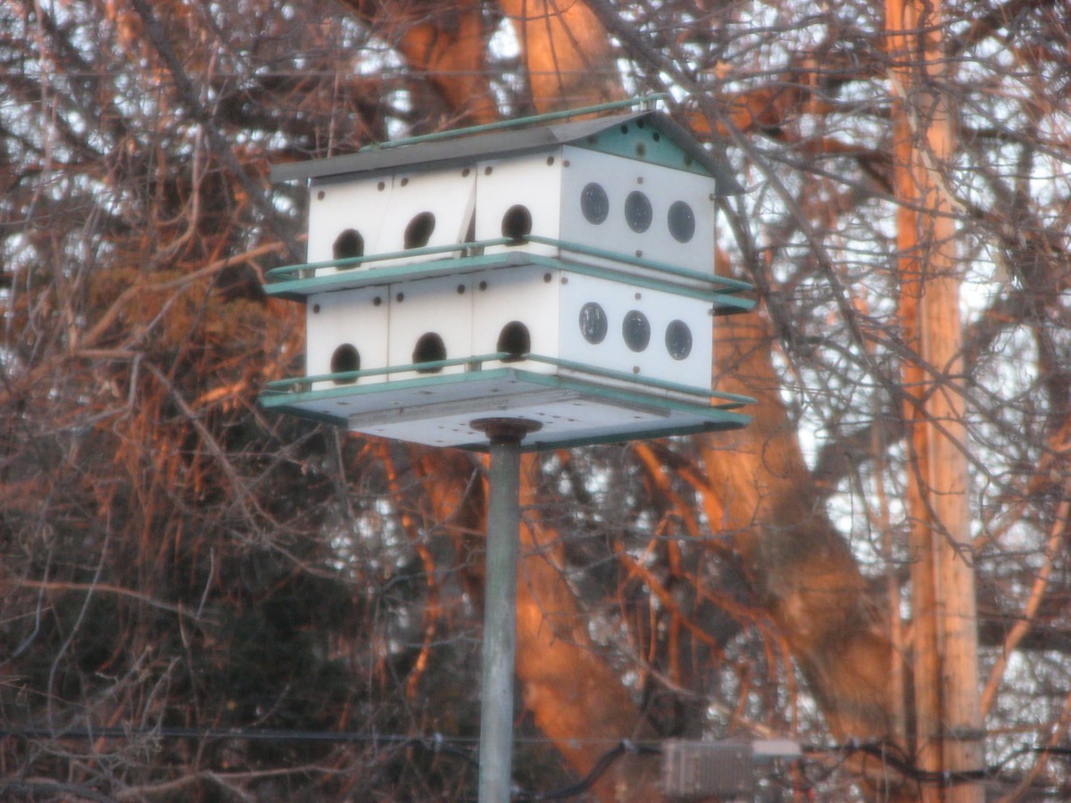 A multi-level birdhouse set against a backdrop of trees.