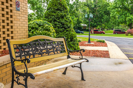 A beautifully designed bench surrounded by lush greenery, inviting for a moment of relaxation.