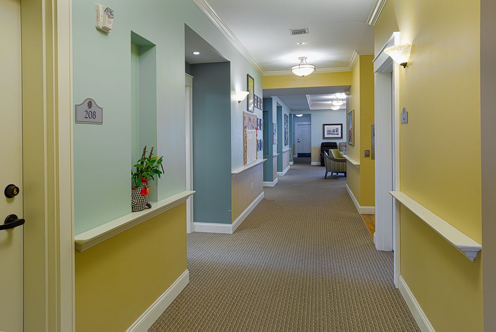 A brightly lit hallway with colorful walls and decorative plants.