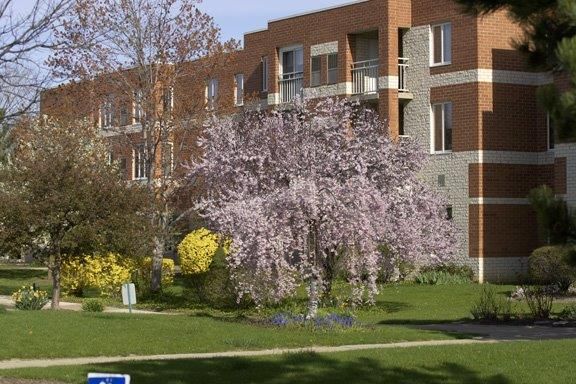 A picturesque view of a building surrounded by blooming trees and a well-maintained garden.