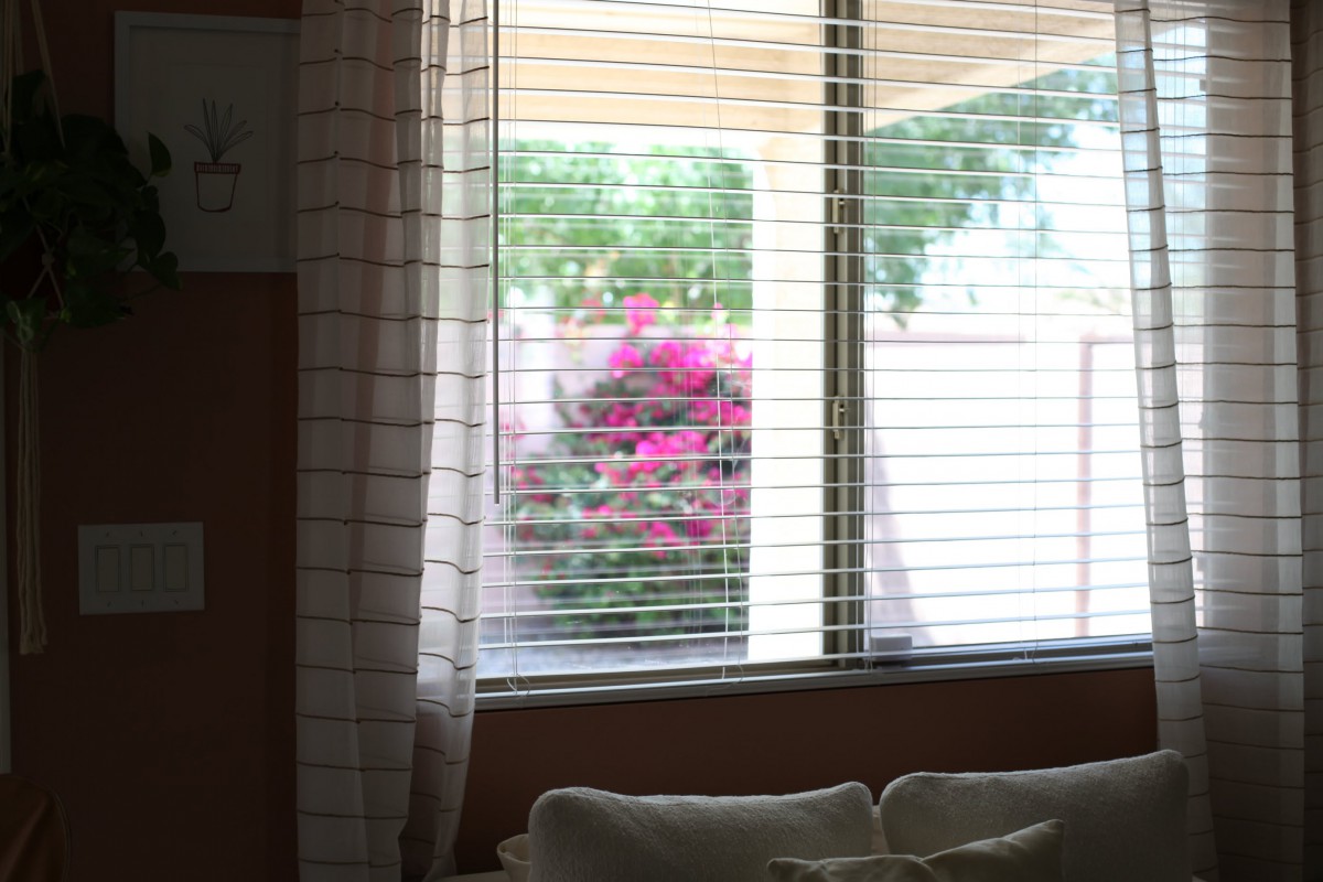 A view through a window with blinds, showcasing vibrant flowers and greenery outside.