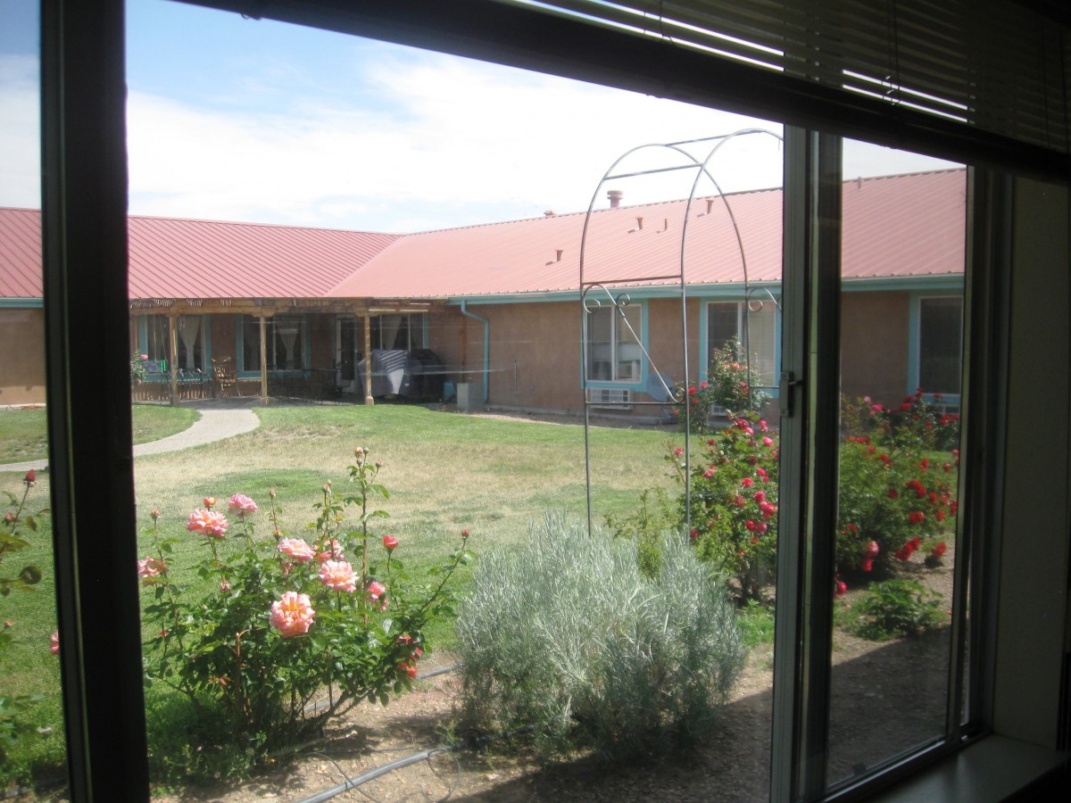 View of a courtyard garden through a window, featuring flowers and a surrounding building.