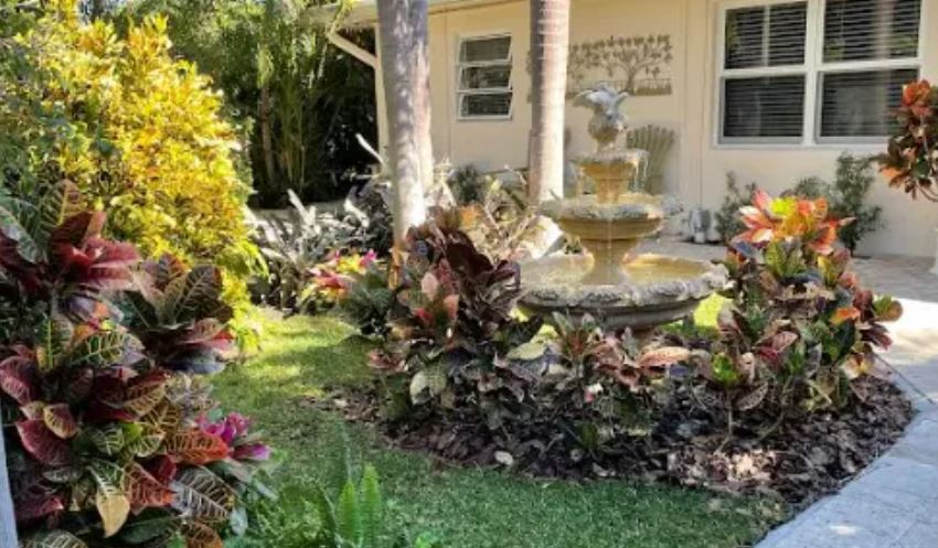 Royal Palm Senior Residence