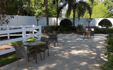 A sunny outdoor patio with chairs and tables surrounded by trees.