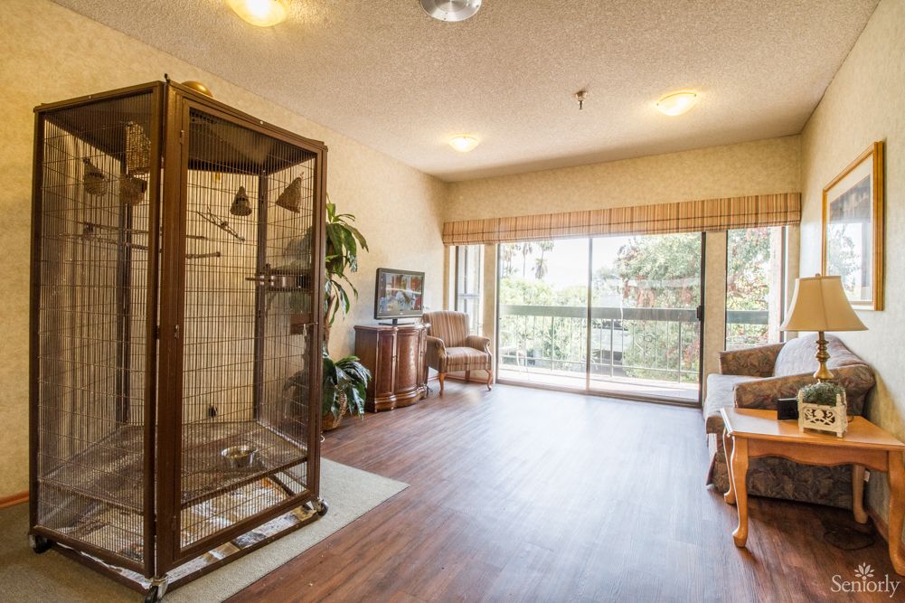 Spacious living room with a birdcage and natural lighting.