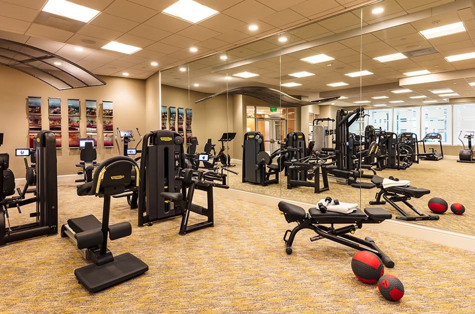 A modern gym with various exercise equipment and weights.