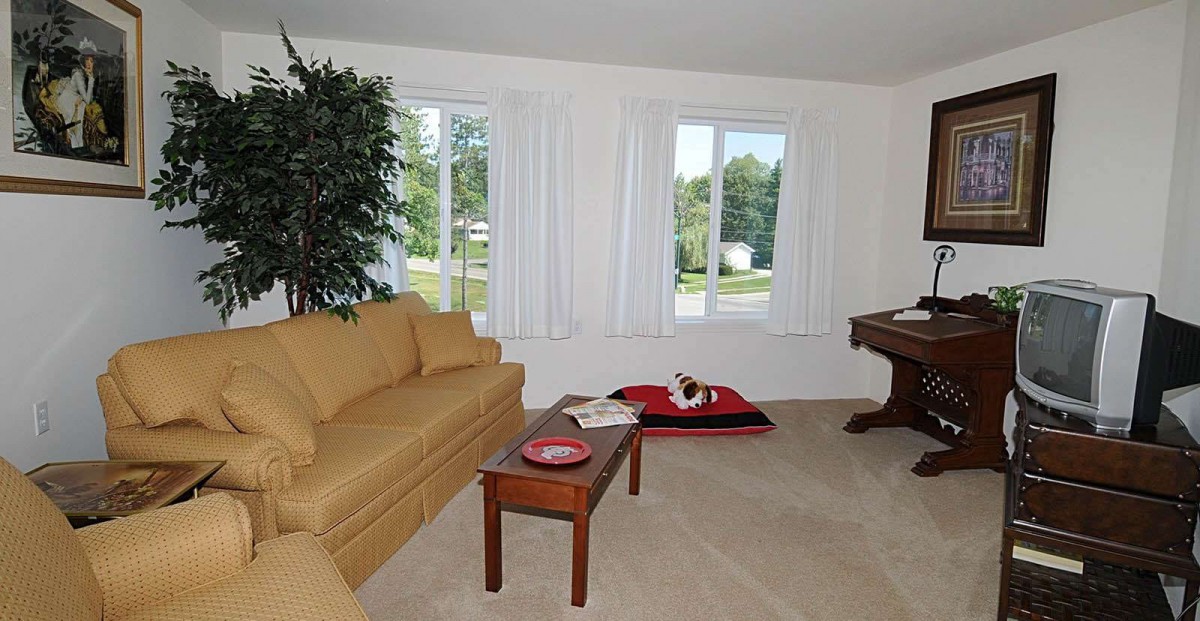 A cozy living room with a sofa, coffee table, large windows, and an indoor plant.