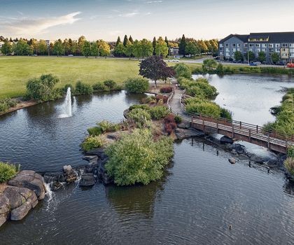 A tranquil park landscape featuring a wooden bridge over a serene pond with a fountain, surrounded by lush greenery.