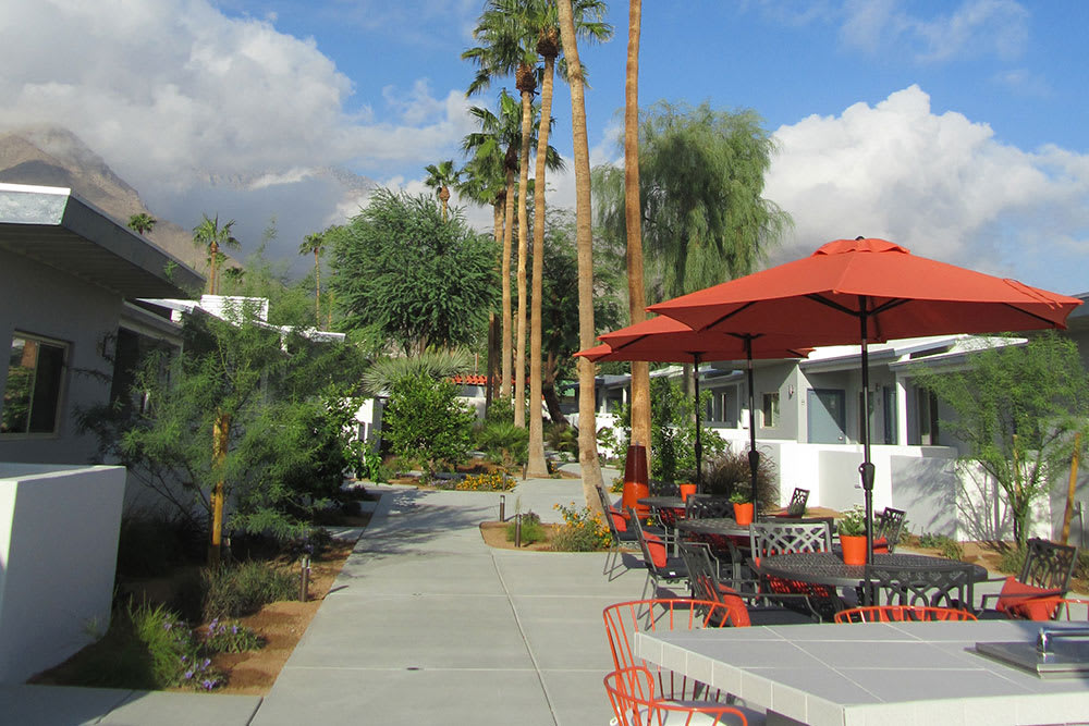 A sunny outdoor patio area with palm trees and red umbrellas, surrounded by lush greenery.