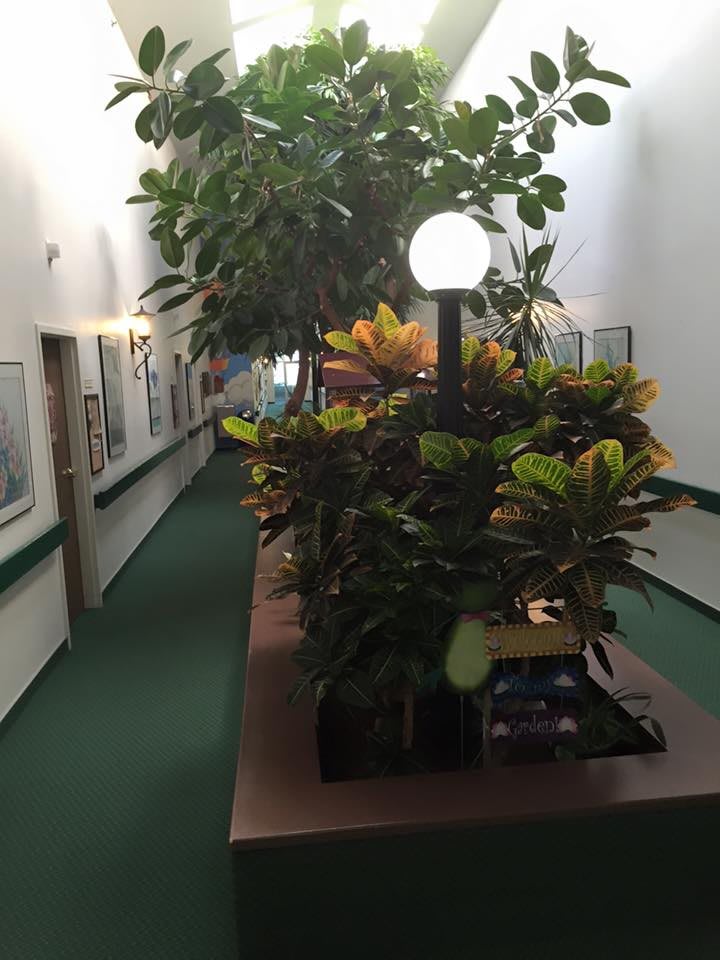 A well-lit indoor hallway adorned with vibrant plants and greenery.