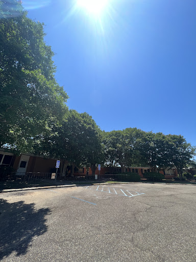 A peaceful view of a vacant parking lot surrounded by lush trees under a clear blue sky.