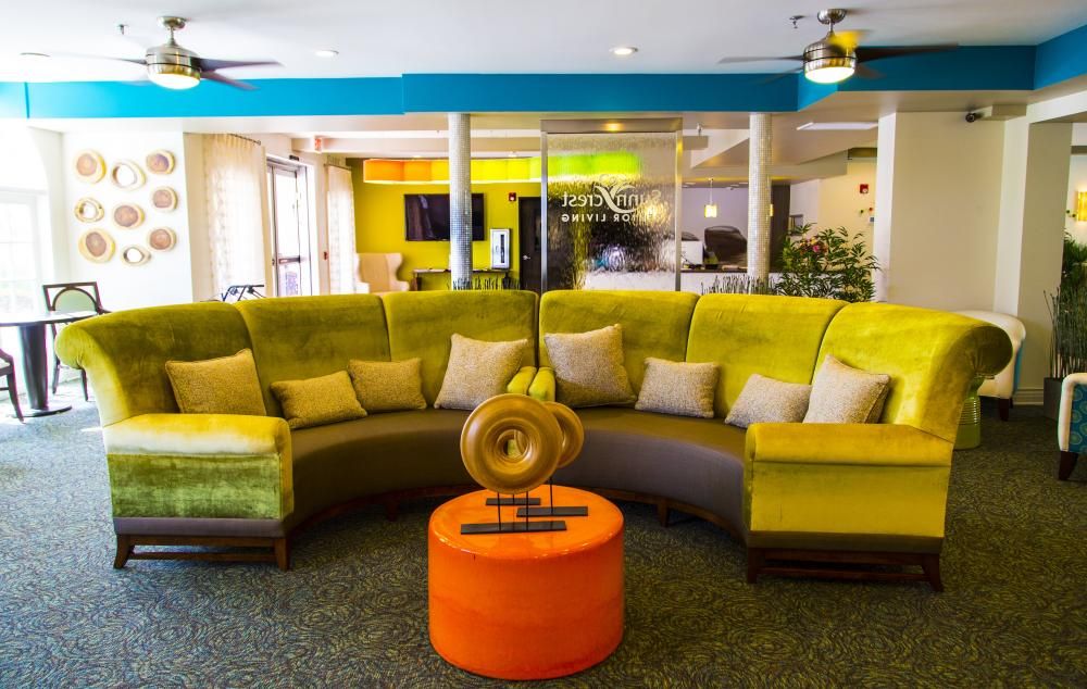 A modern and colorful living room with a curved couch and vibrant decor.
