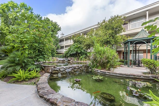 A tranquil garden with a pond and lush greenery beside a multi-story building.