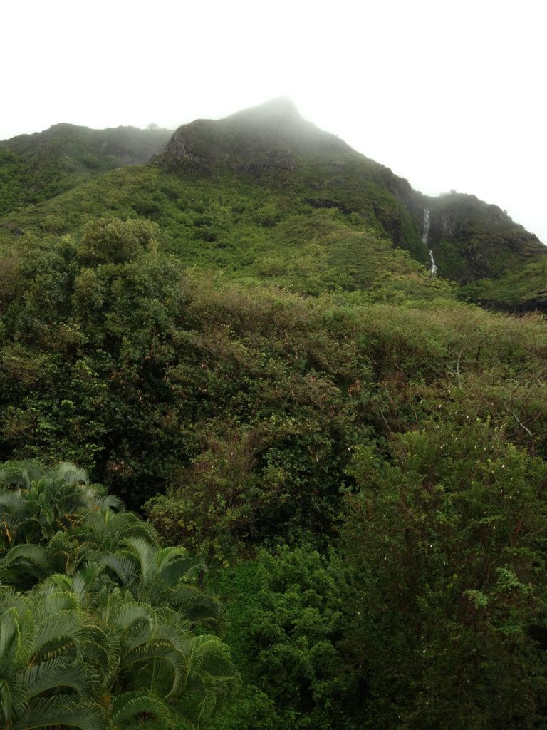 Dignity Senior Living At Oceanside Hawaii