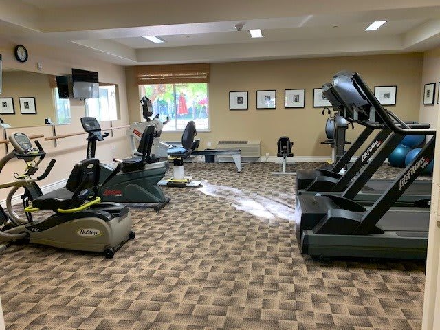 An indoor gym equipped with treadmills and stationary bikes.