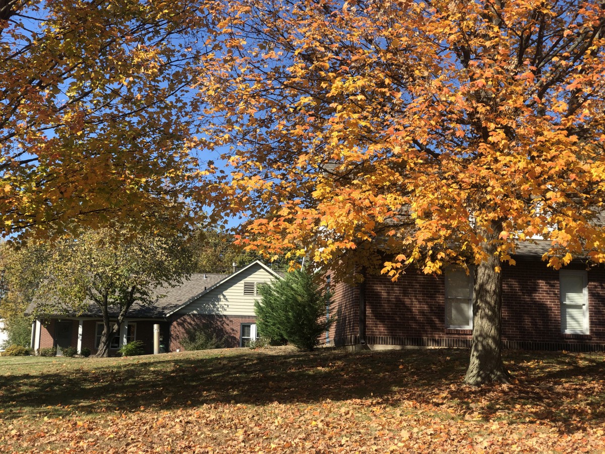 A house surrounded by trees with vibrant autumn foliage.