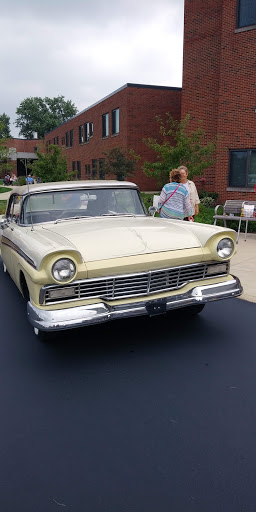 A charming vintage convertible car showcased in an outdoor setting.