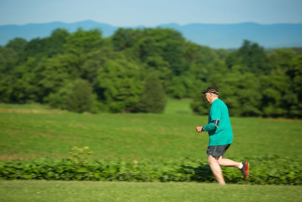 Person jogging through a lush, green landscape on a sunny day.