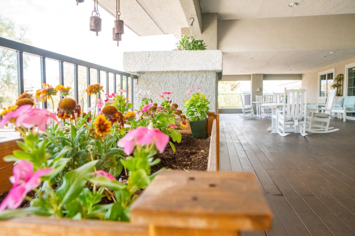 A vibrant balcony garden with colorful flowers in wooden planters.