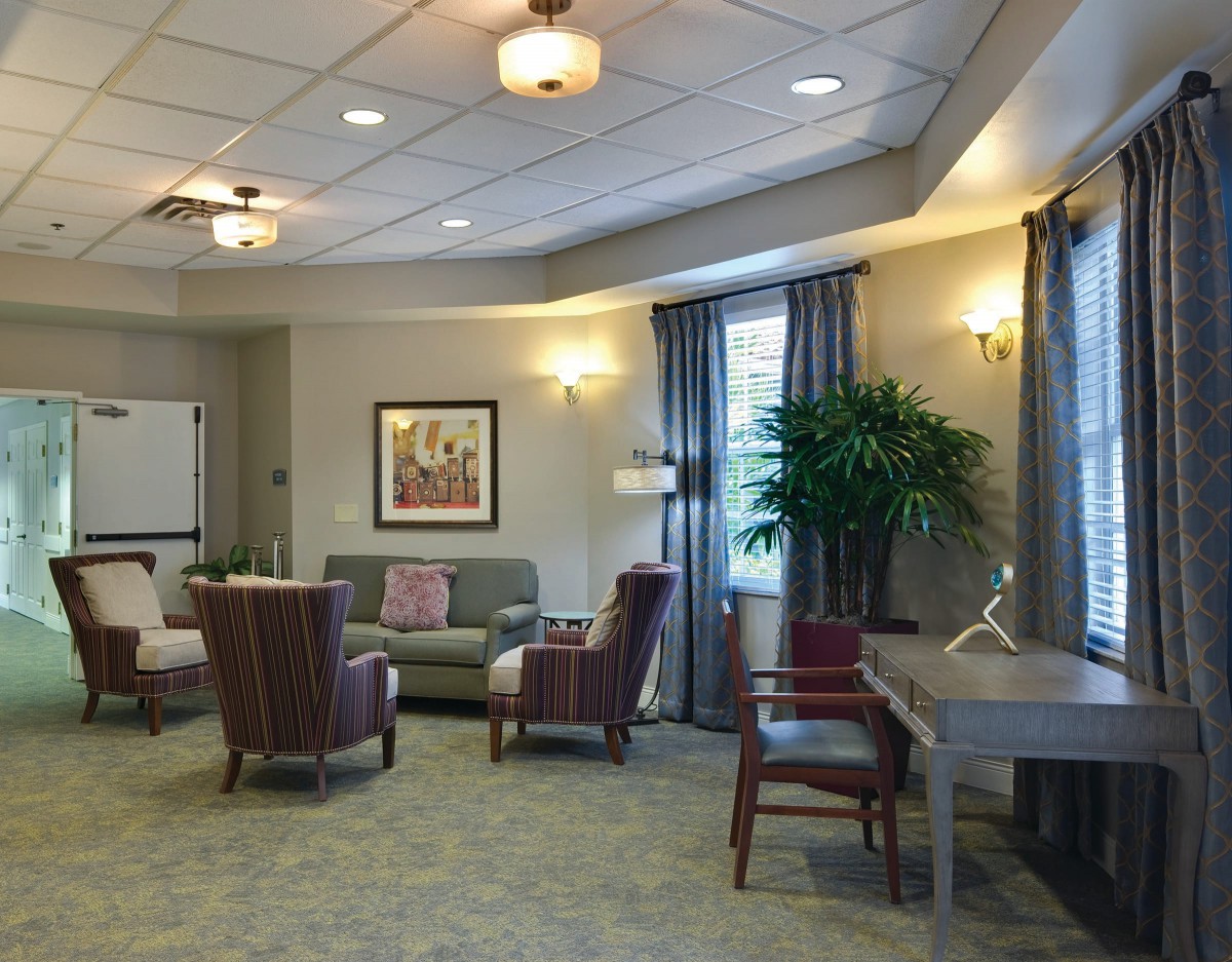 A cozy and elegantly furnished living room with comfortable seating, soft lighting, and decorative plants.